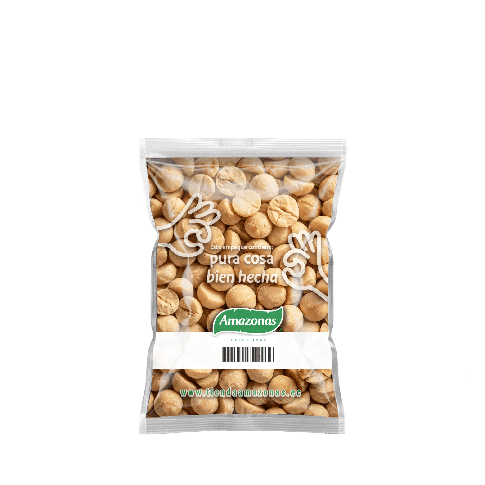 Macadamia