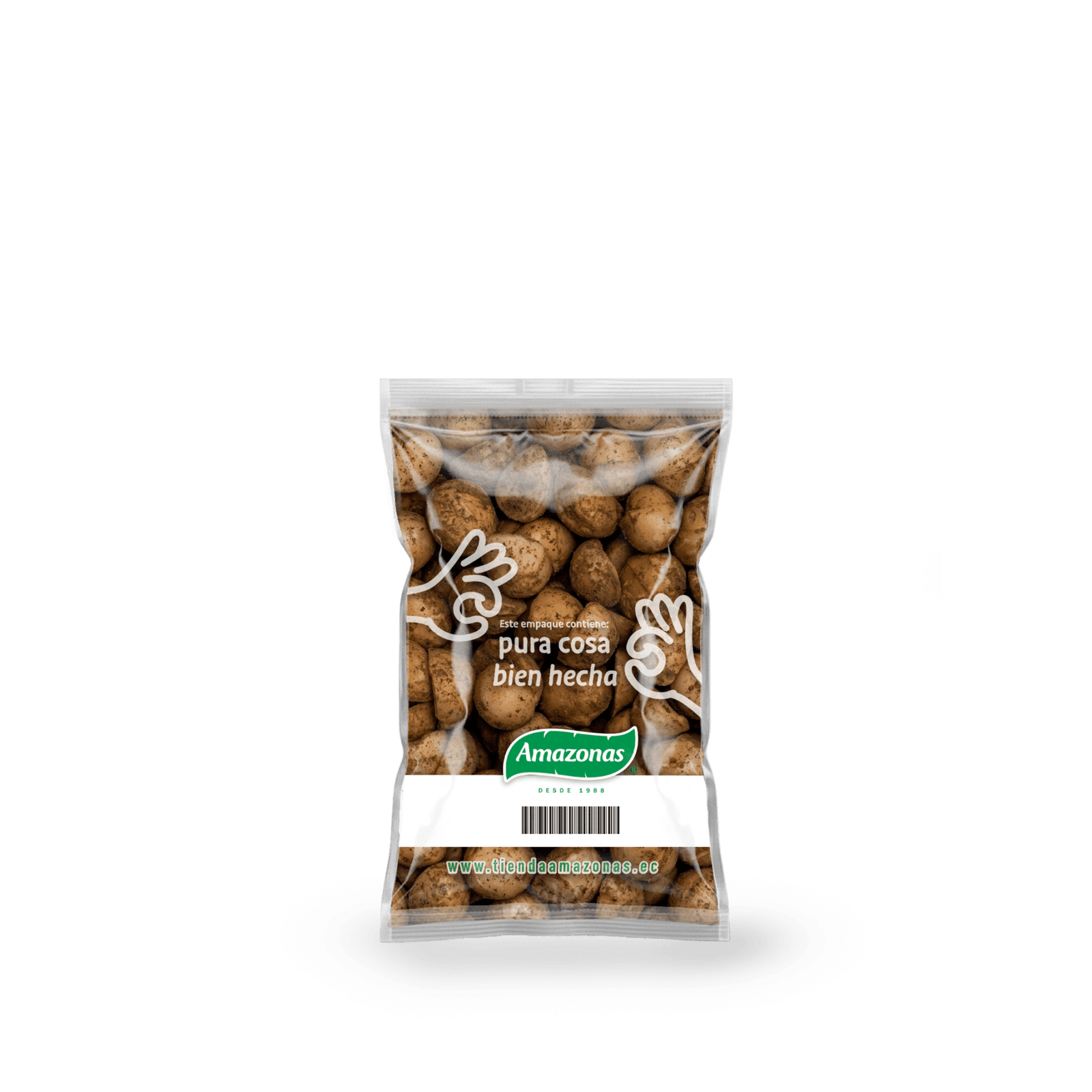 Macadamia Media Libra